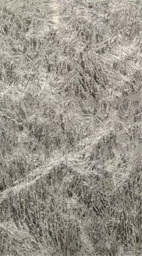雪山銀狐2.png