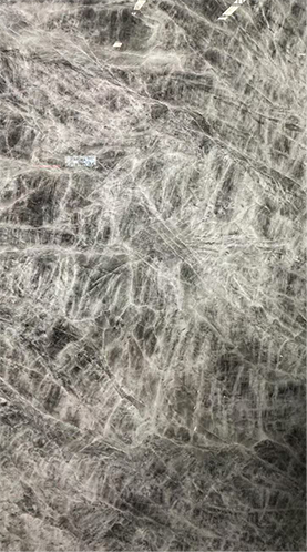 雪山銀狐3.png